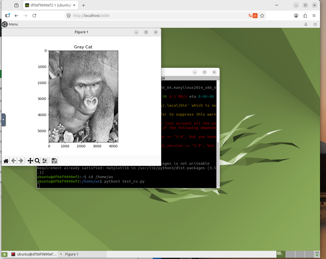 OpenCV environment verification screenshot